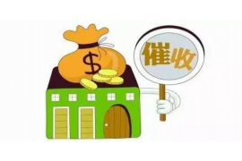 建宁遇到恶意拖欠？专业追讨公司帮您解决烦恼